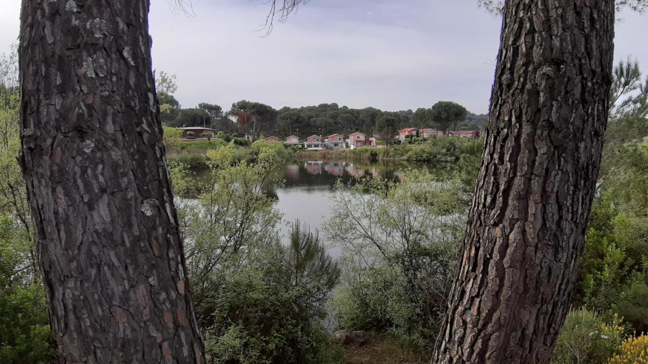 El Pinar Del Coto Villa Кордоба Екстериор снимка